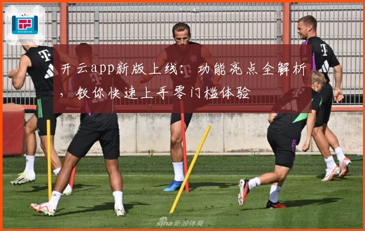 开云app新版上线：功能亮点全解析，教你快速上手零门槛体验