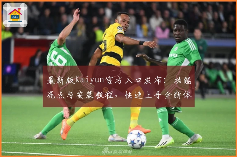 最新版Kaiyun官方入口发布：功能亮点与安装教程，快速上手全新体验